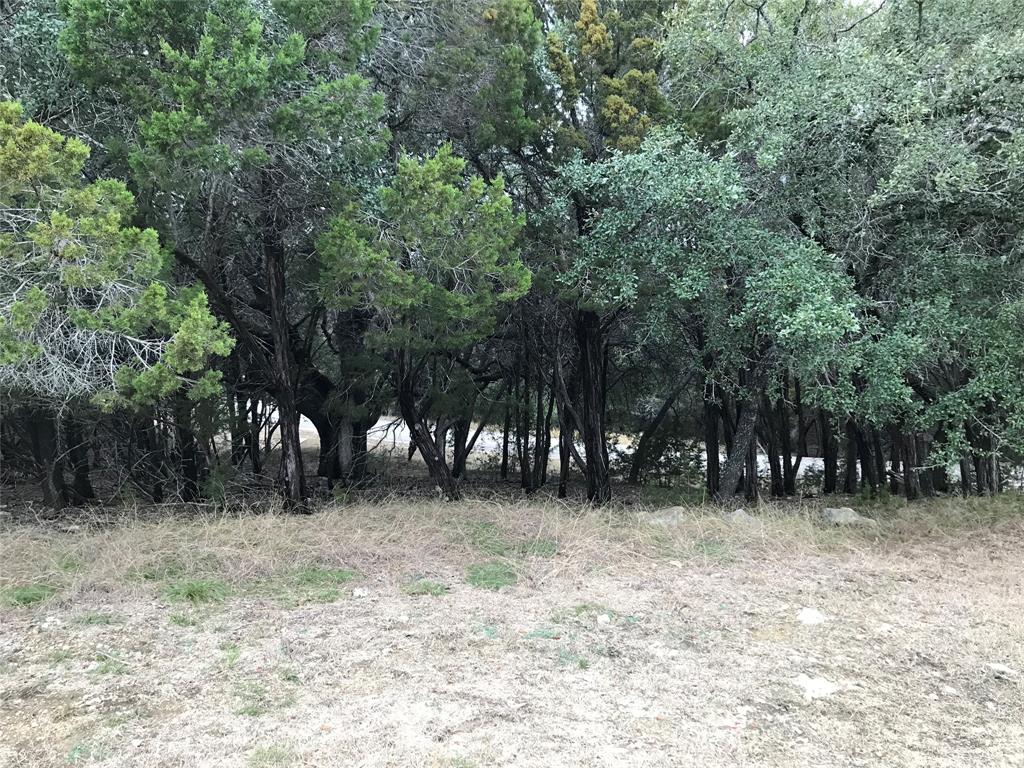 a view of backyard with trees