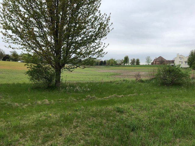 a view of an outdoor space and a yard