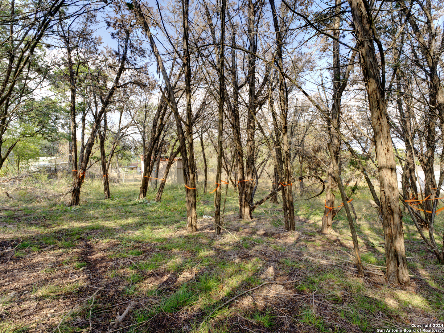 a view of field with trees