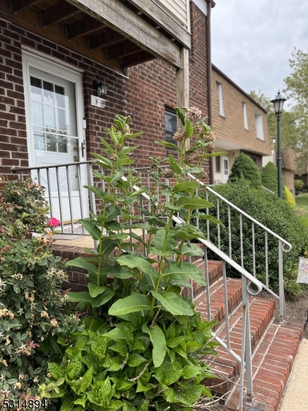 a view of a balcony with plants