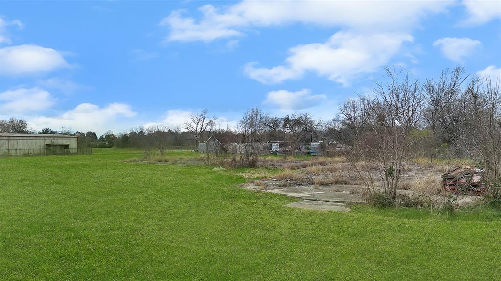 a view of a big yard with a large tree