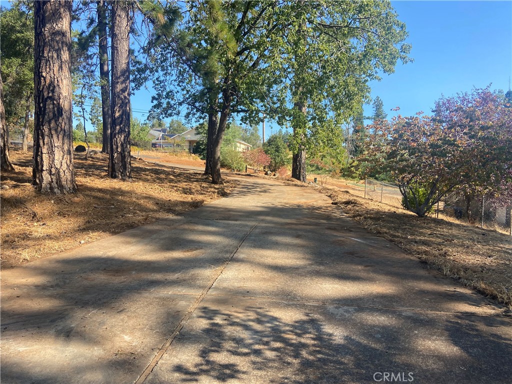 a view of a yard with a tree