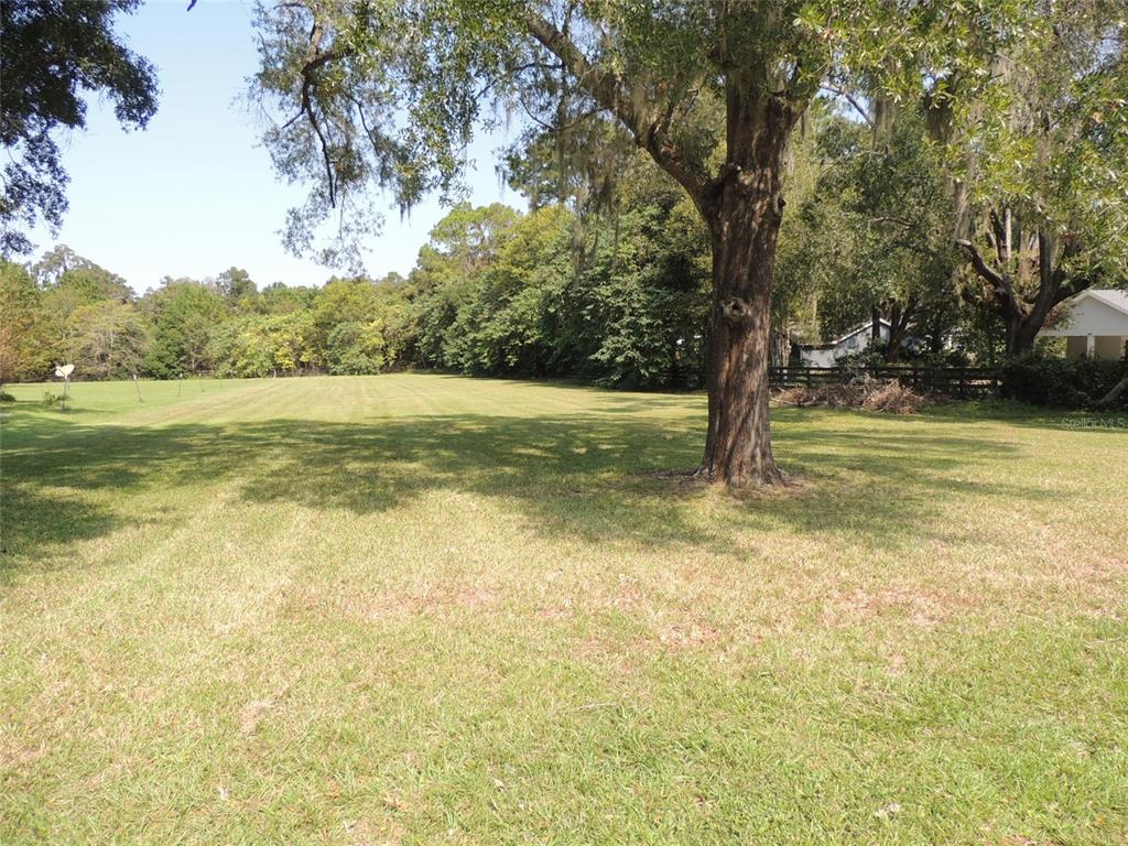 a view of a yard with a tree