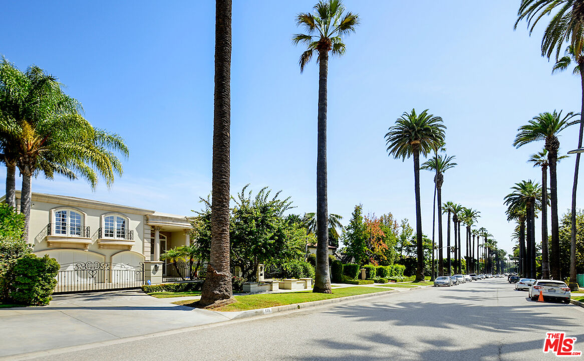 a view of a park with palm trees