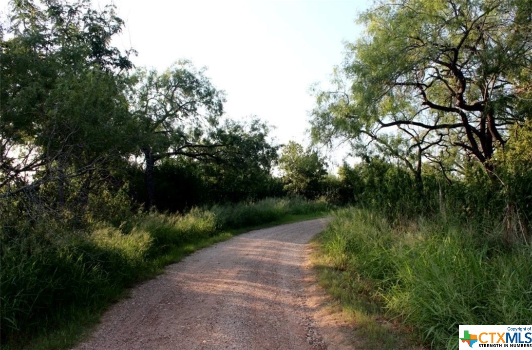 a view of a street with a tree