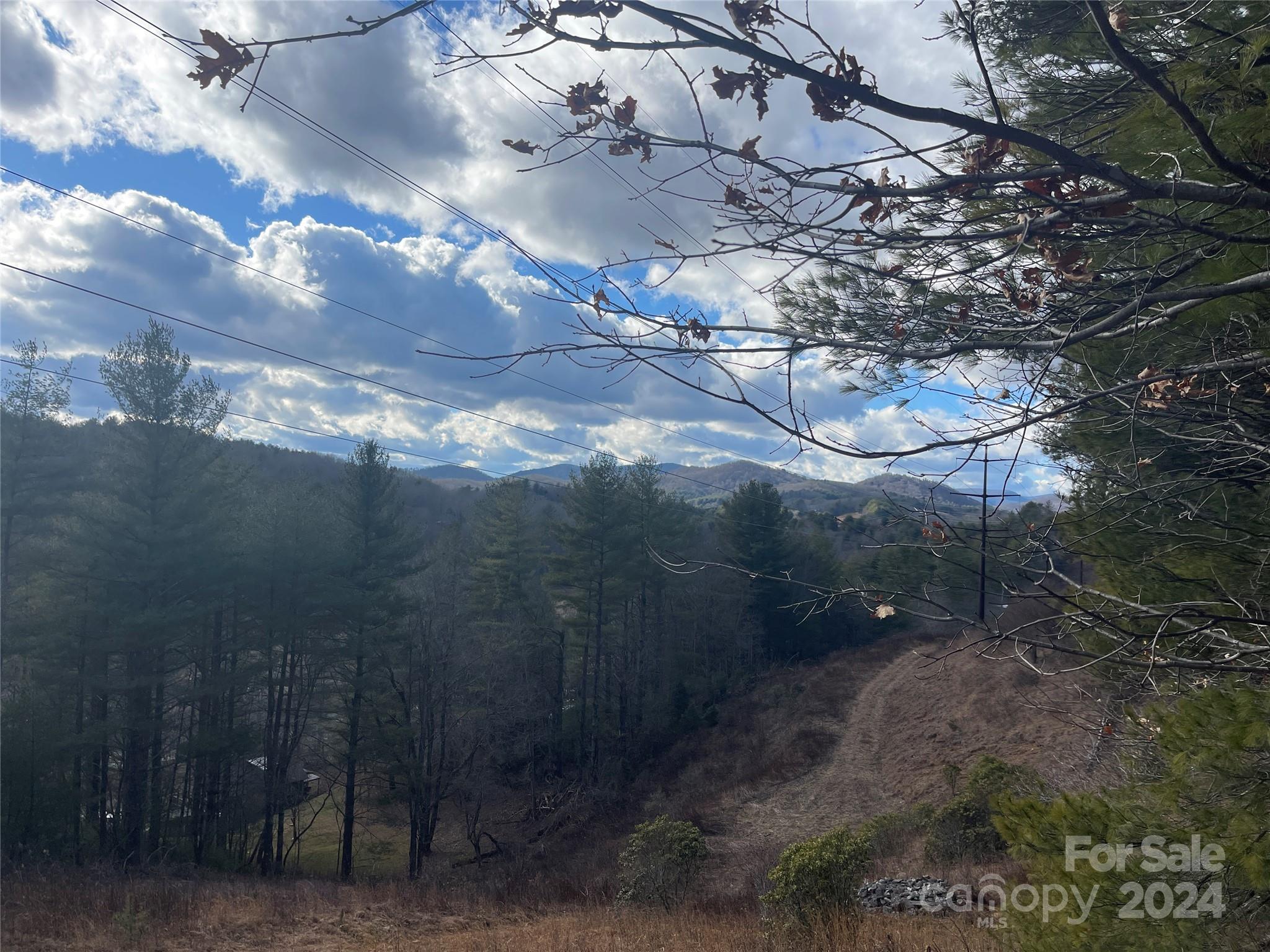 a view of outdoor space with lots of trees