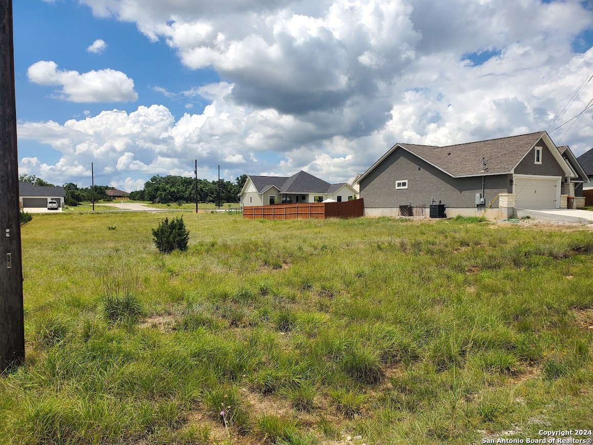 a view of a house with a big yard and large tree