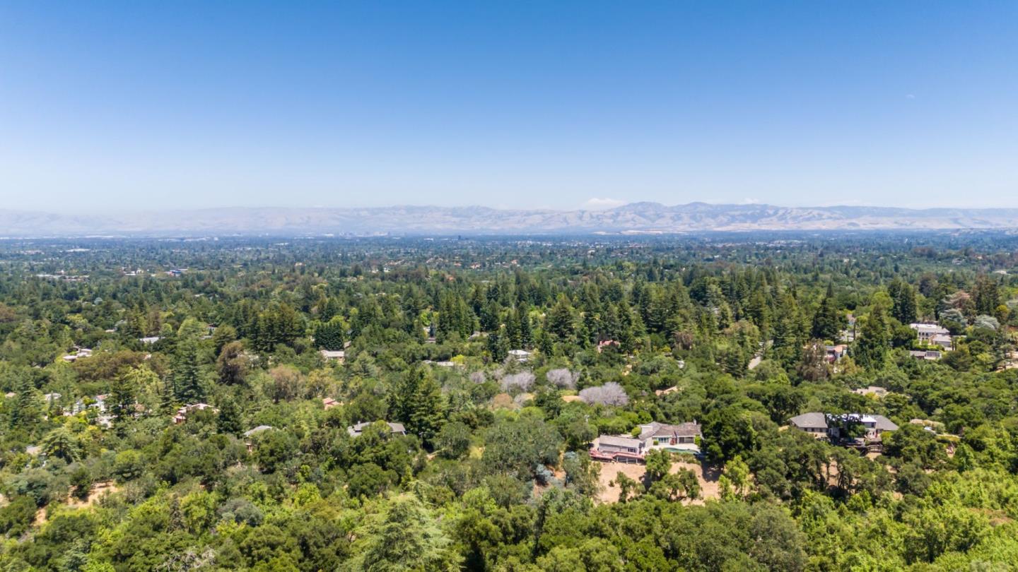 a view of a city with lush green forest