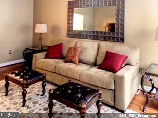 a living room with a couch and a potted plant