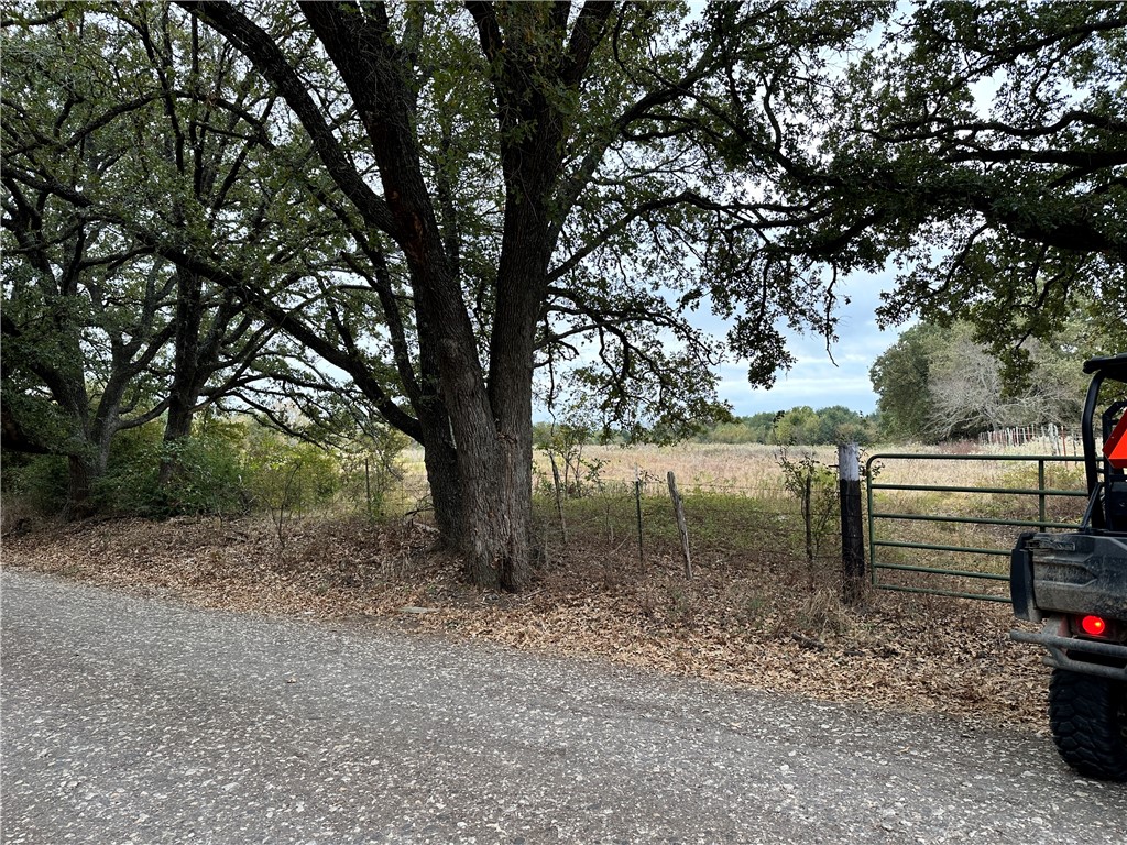 a view of outdoor space