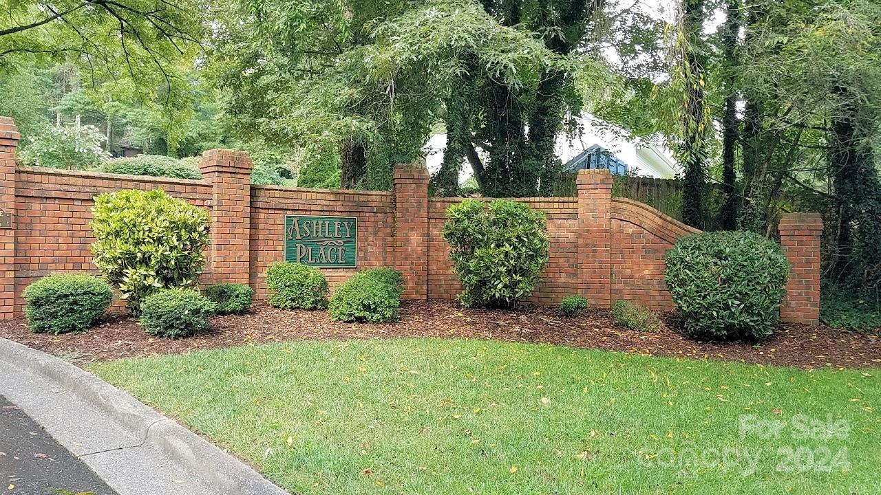 a view of a garden with plants and large trees