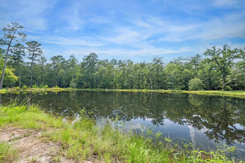 a view of a lake with a yard and trees