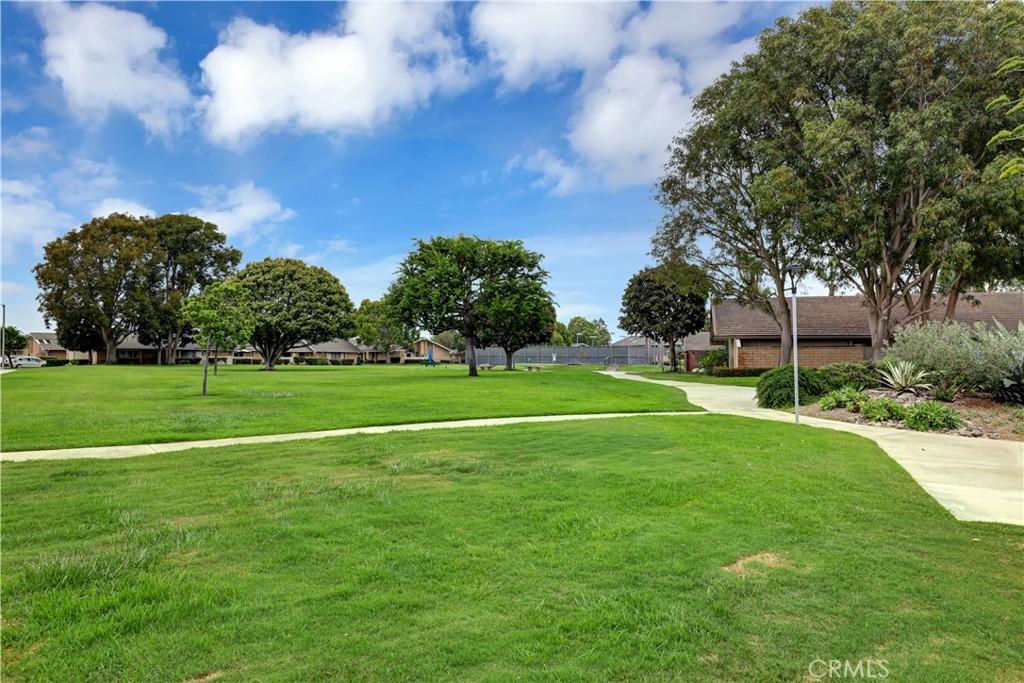 a view of a park with large trees