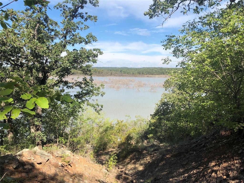 a view of a lake with a tree