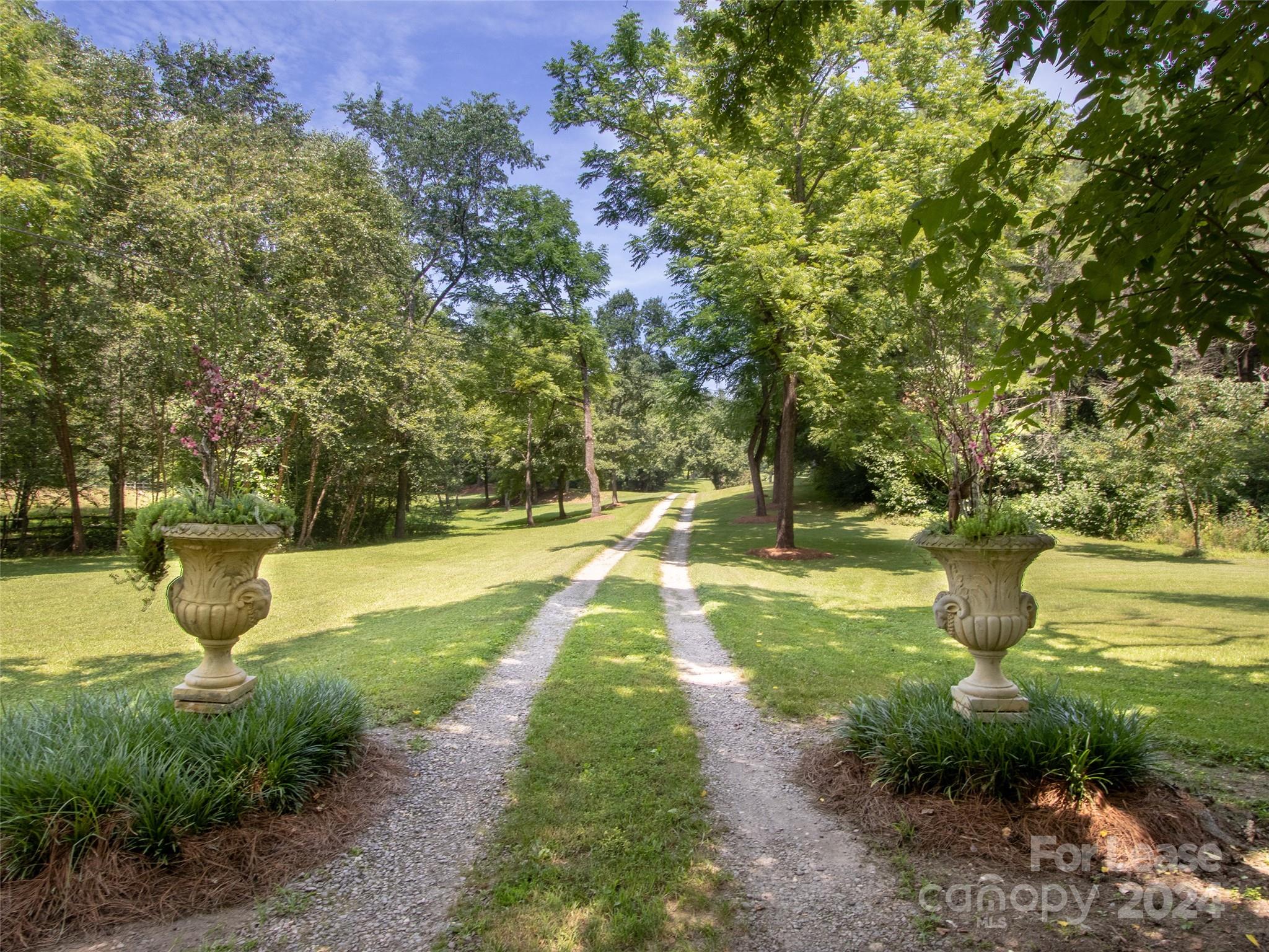 a view of yard with green space