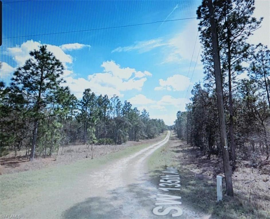 a view of a dry yard with trees