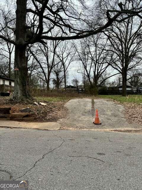 a view of a yard with a tree