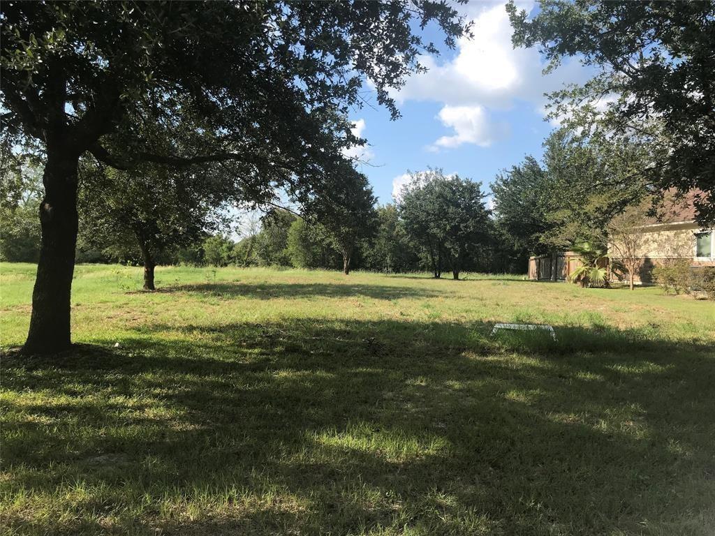 a view of outdoor space with garden and trees