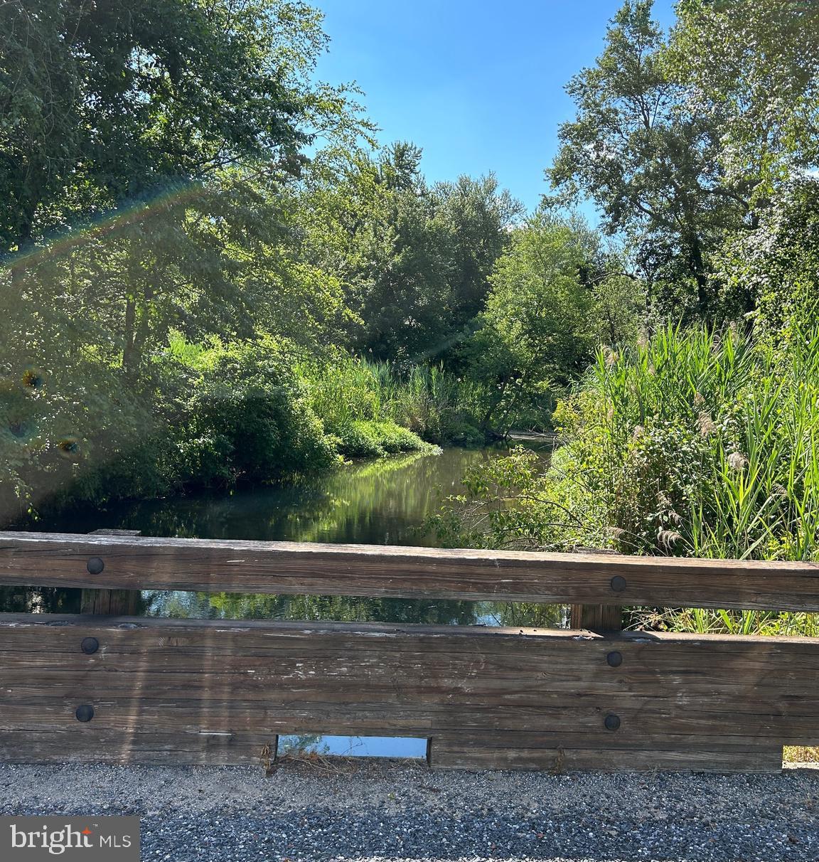 a view of park bench