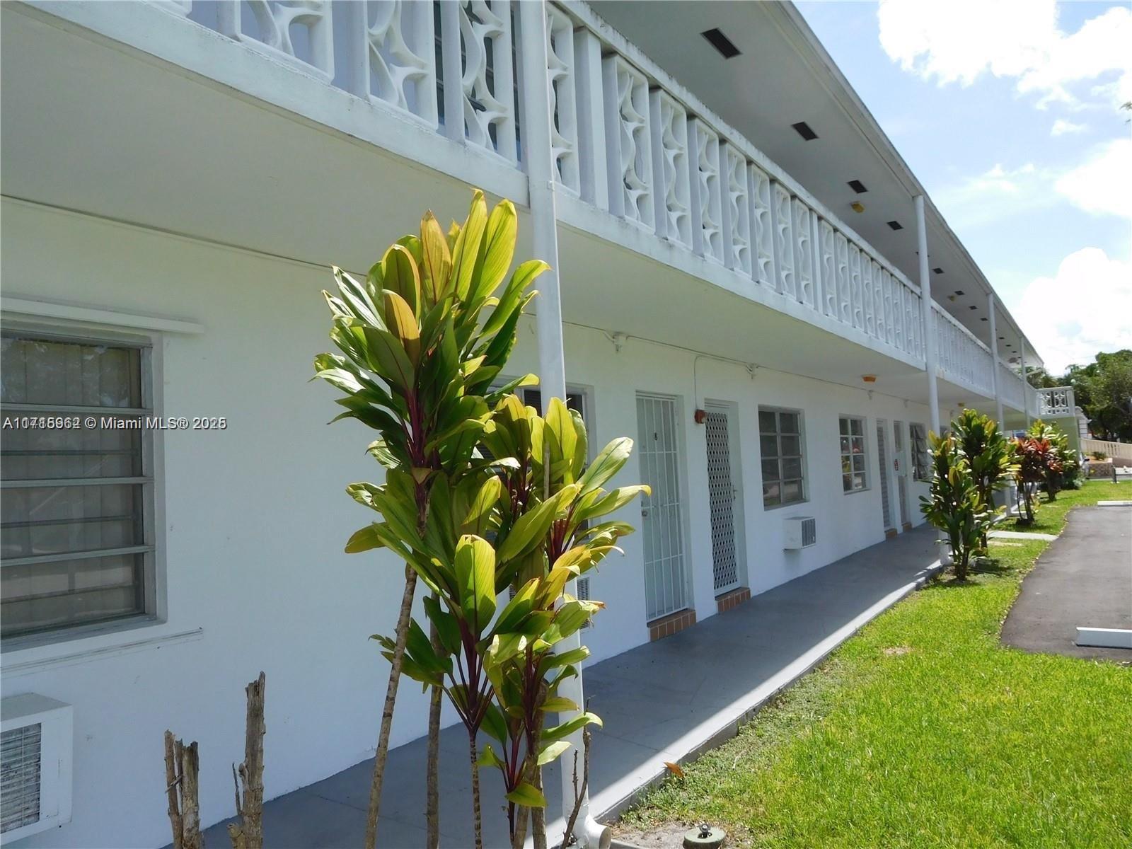 a plant in front of house with yard