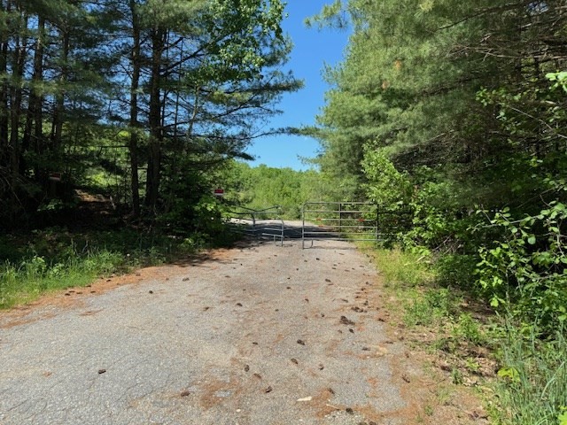 a view of a dirt road with trees in the background