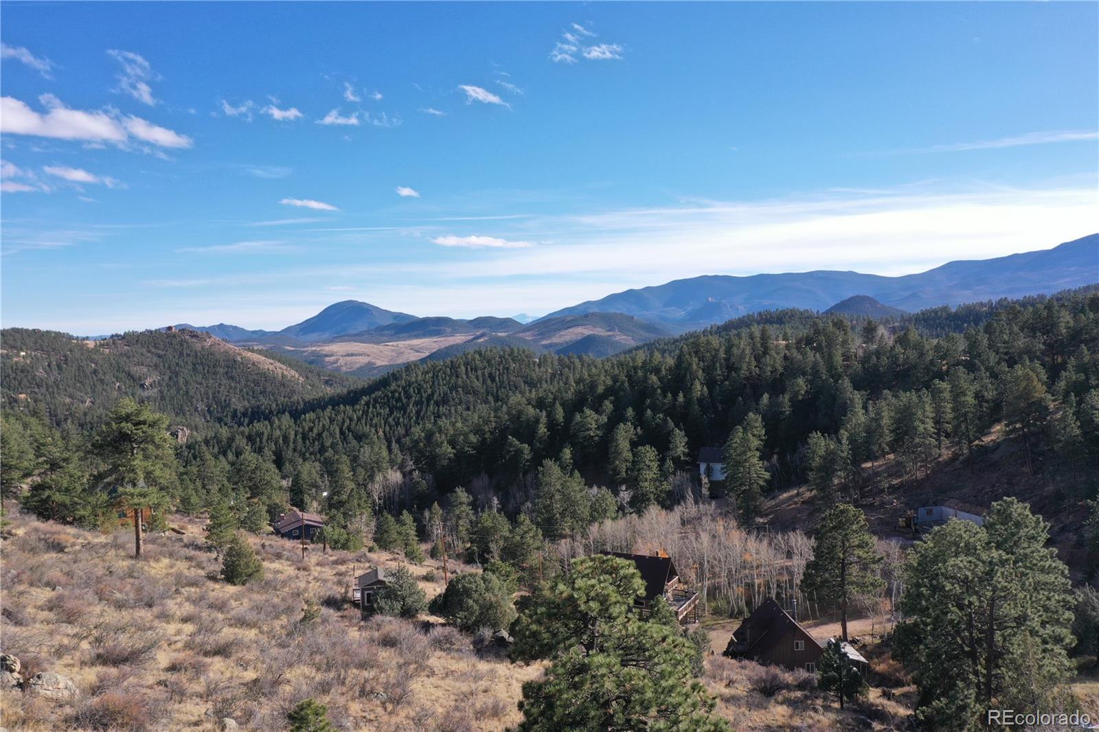 a view of a forest with mountains