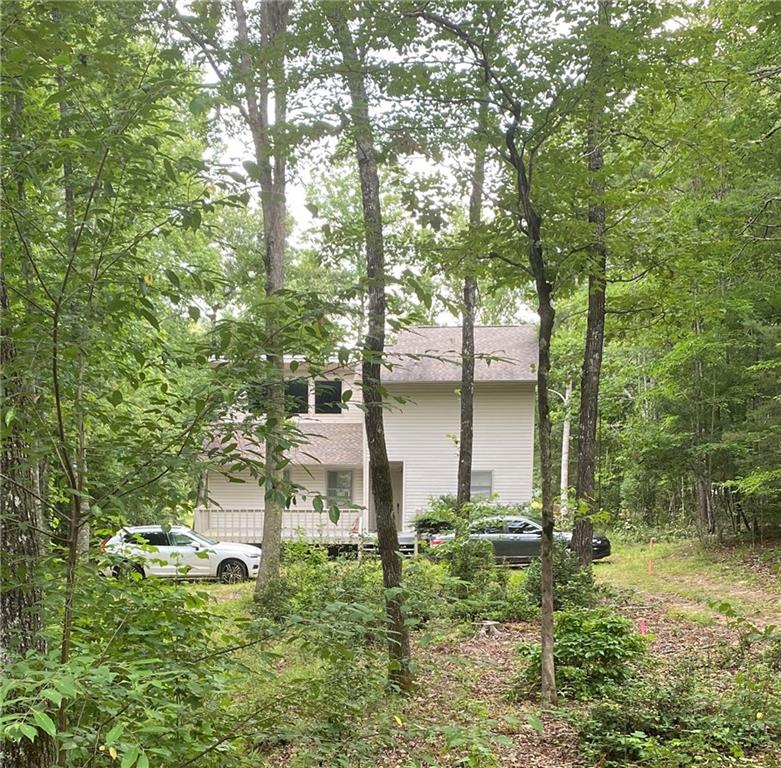 a backyard of a house with plants and large trees