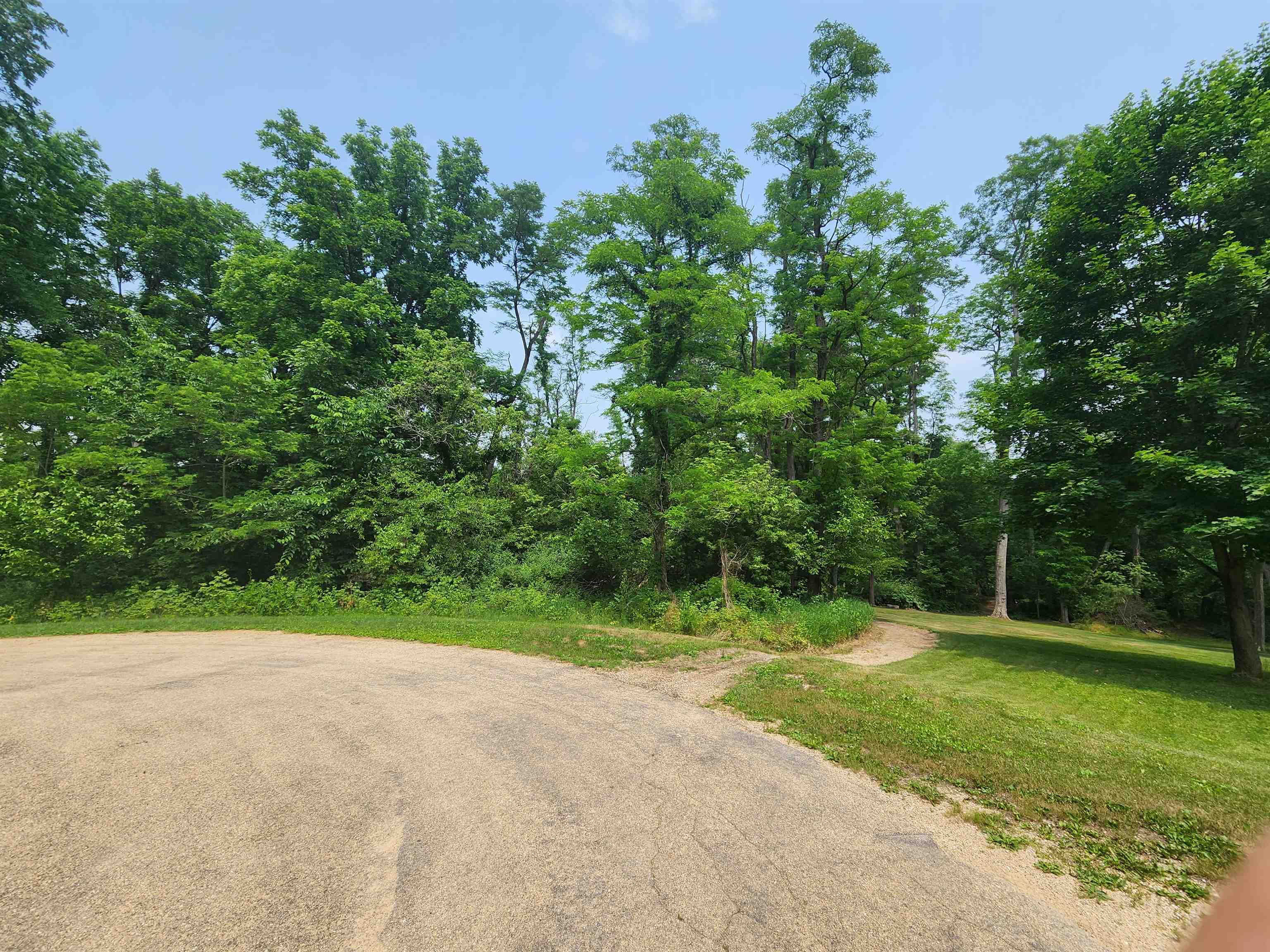 a view of a field with a tree in the background