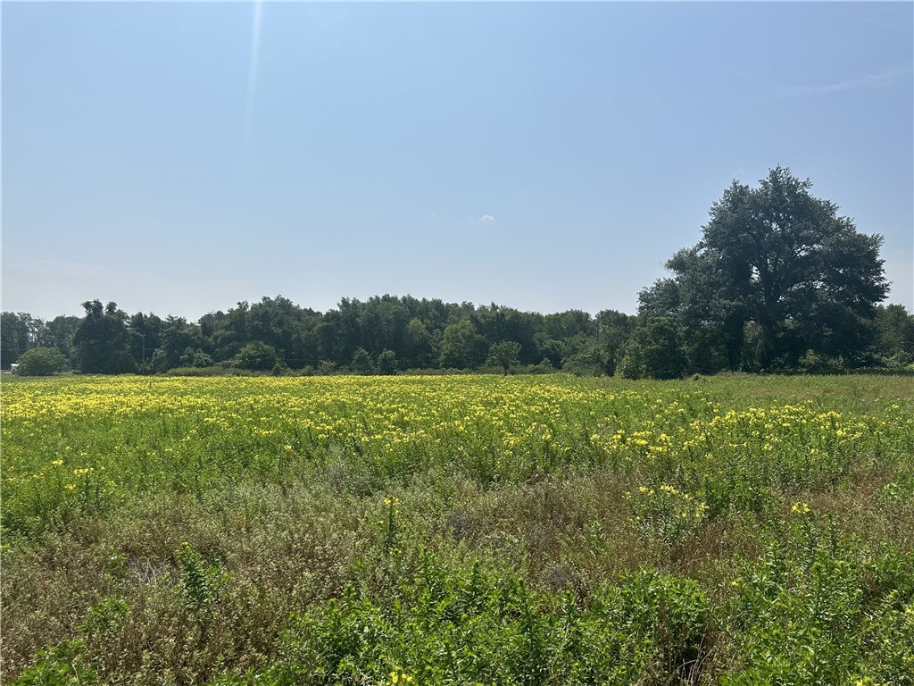 a view of outdoor space and yard