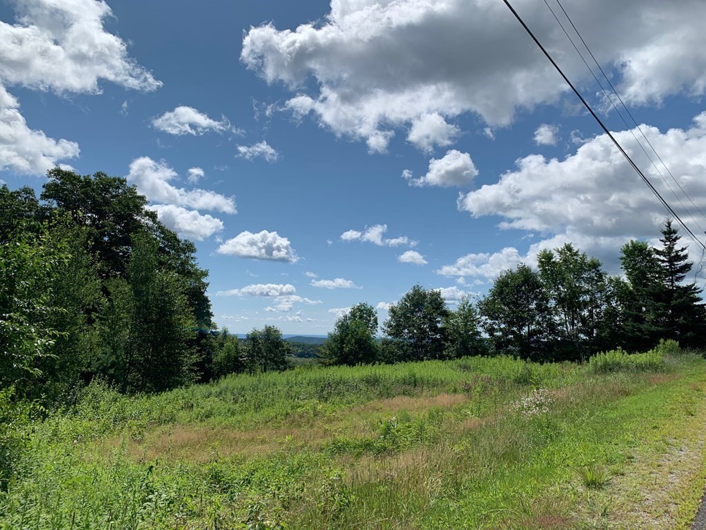 a view of a bunch of trees in background