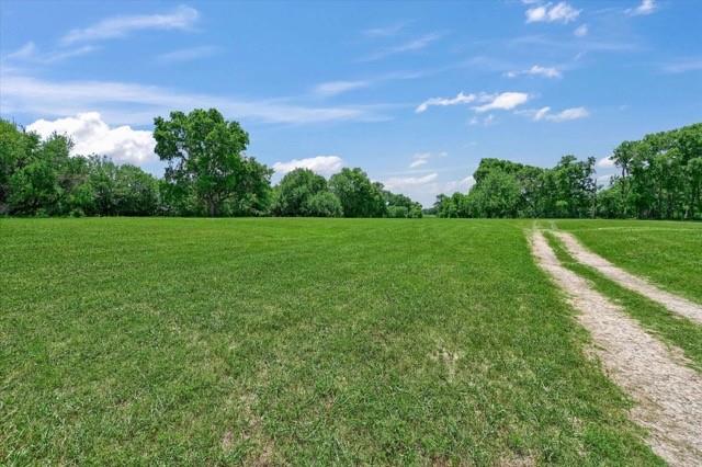 a view of grassy field with trees