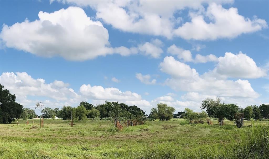 a view of a big yard with lots of green space