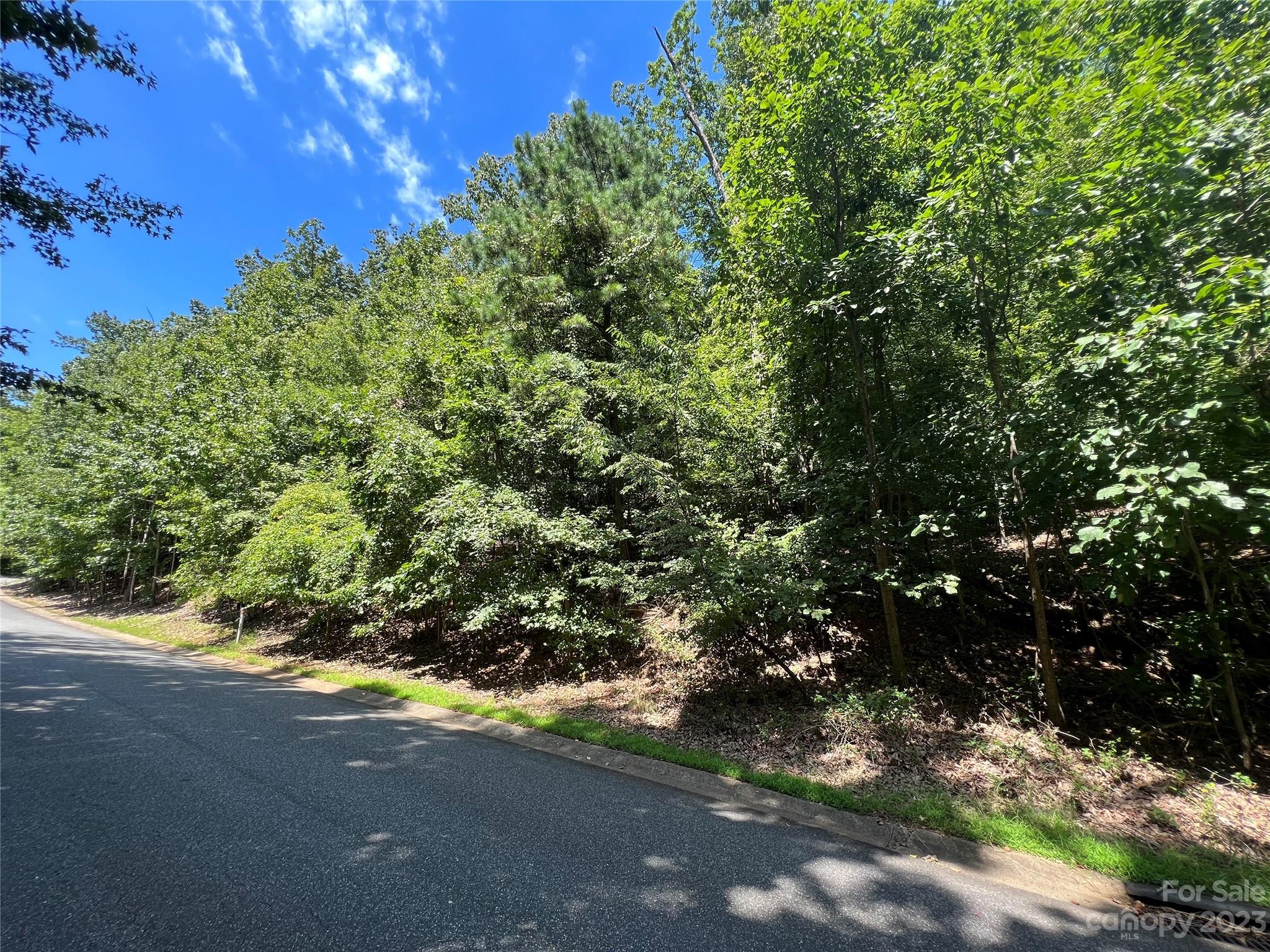 a view of a street with a tree