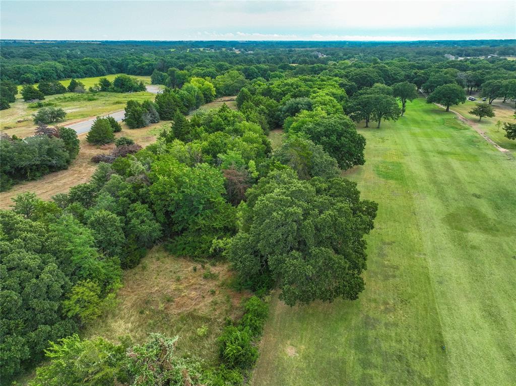 a view of a lush green space