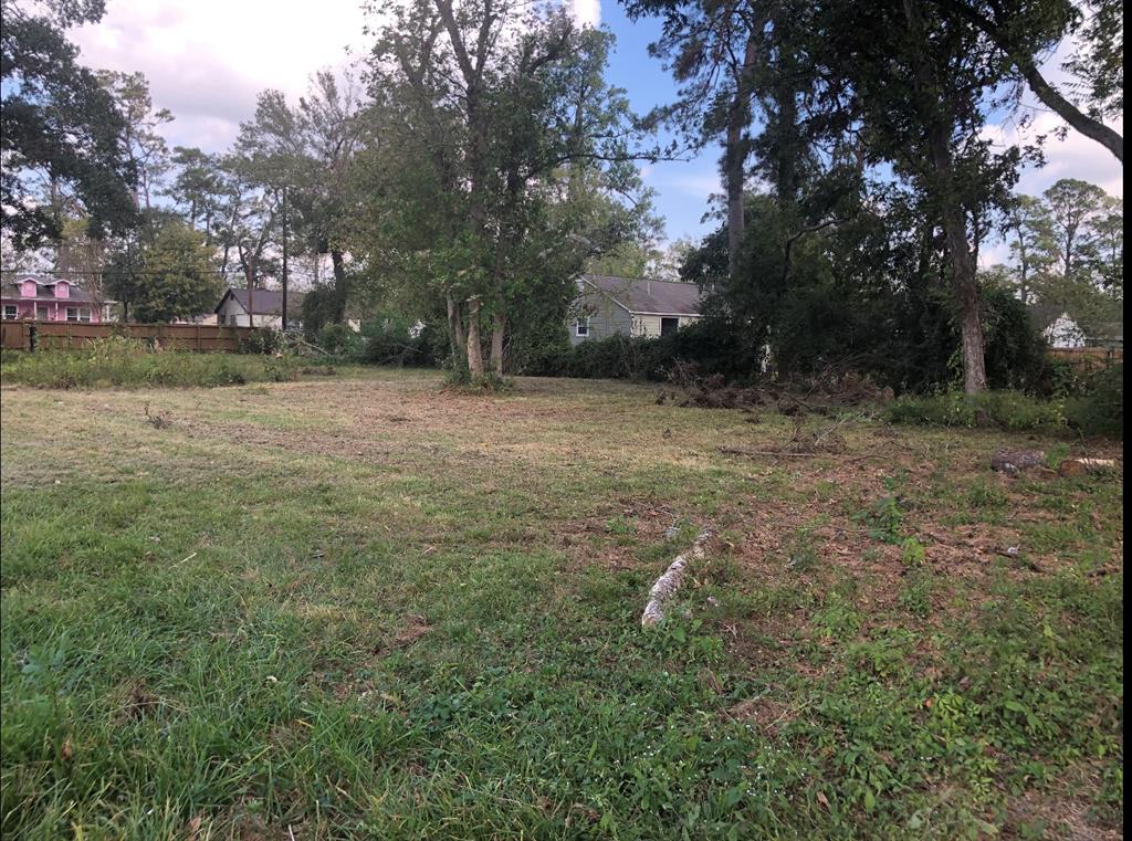 a view of a field with trees