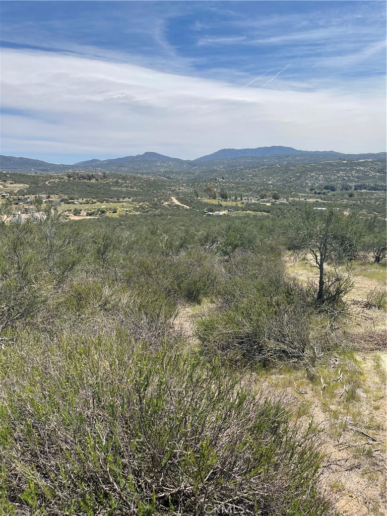 a view of a field with an ocean