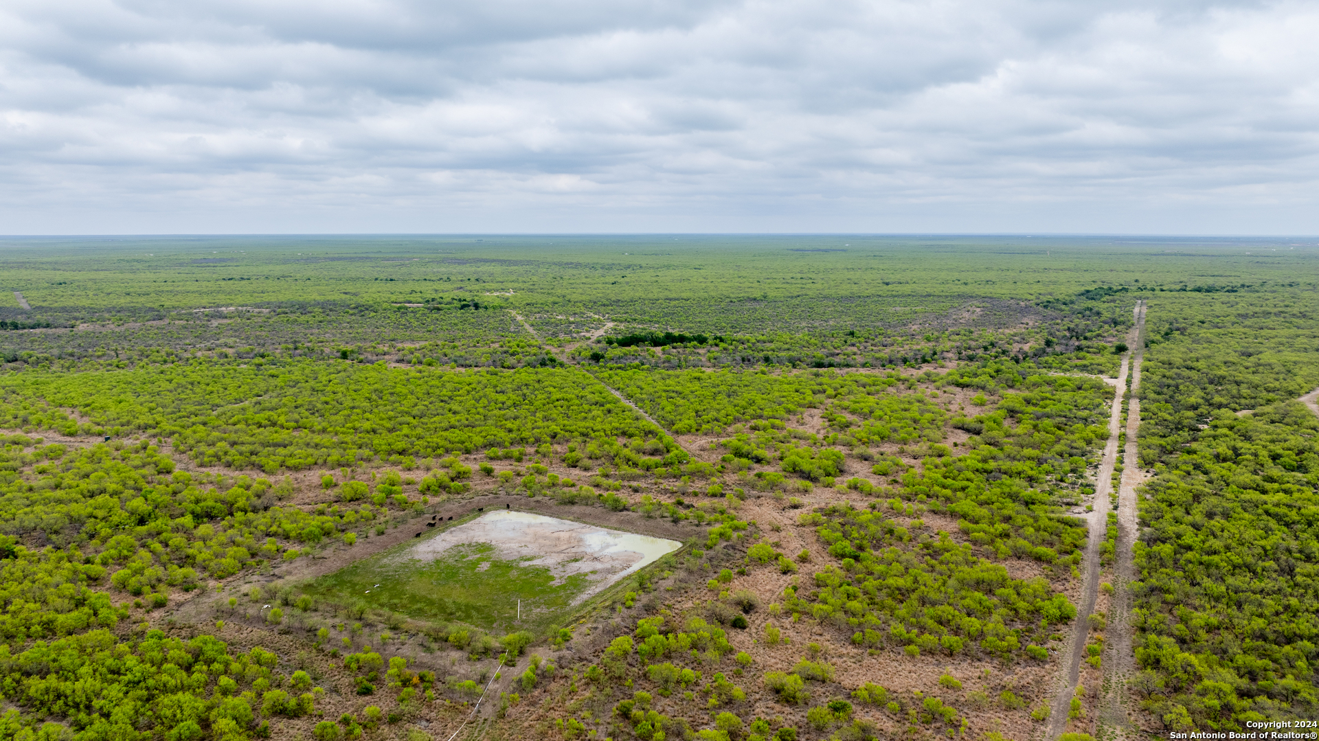 a view of a field with an ocean and trees