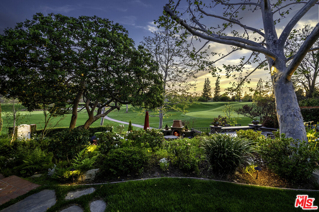 a view of a garden with a tree