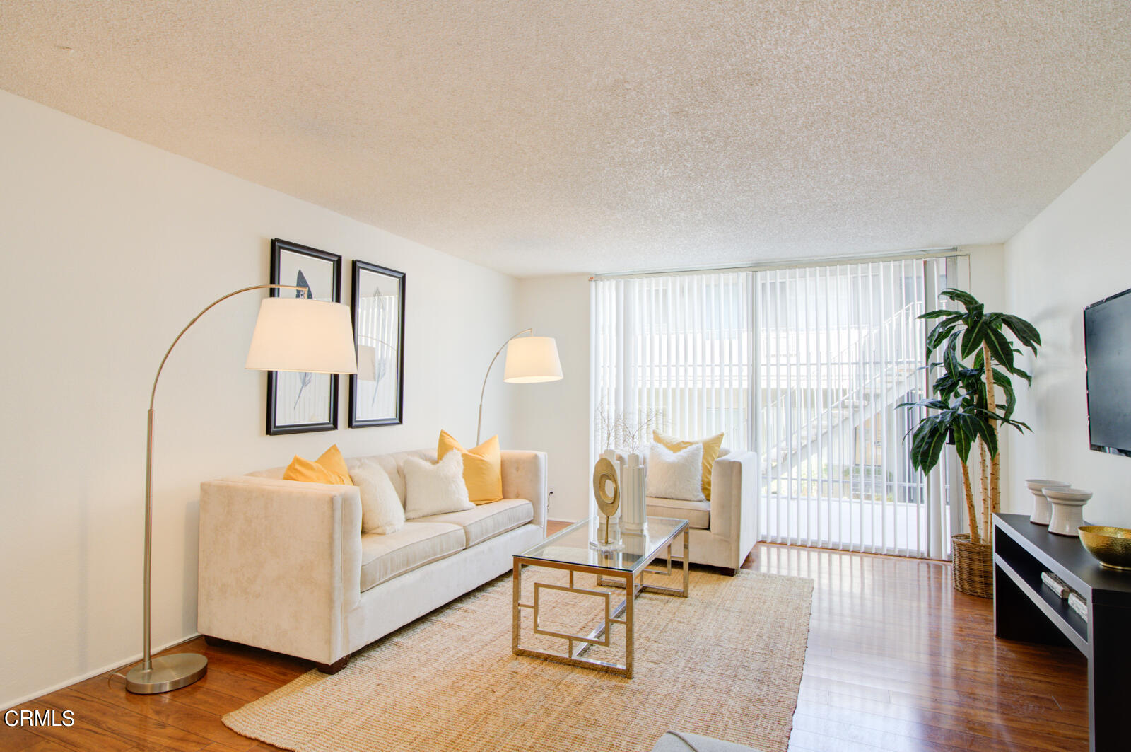 a living room with furniture and a potted plant