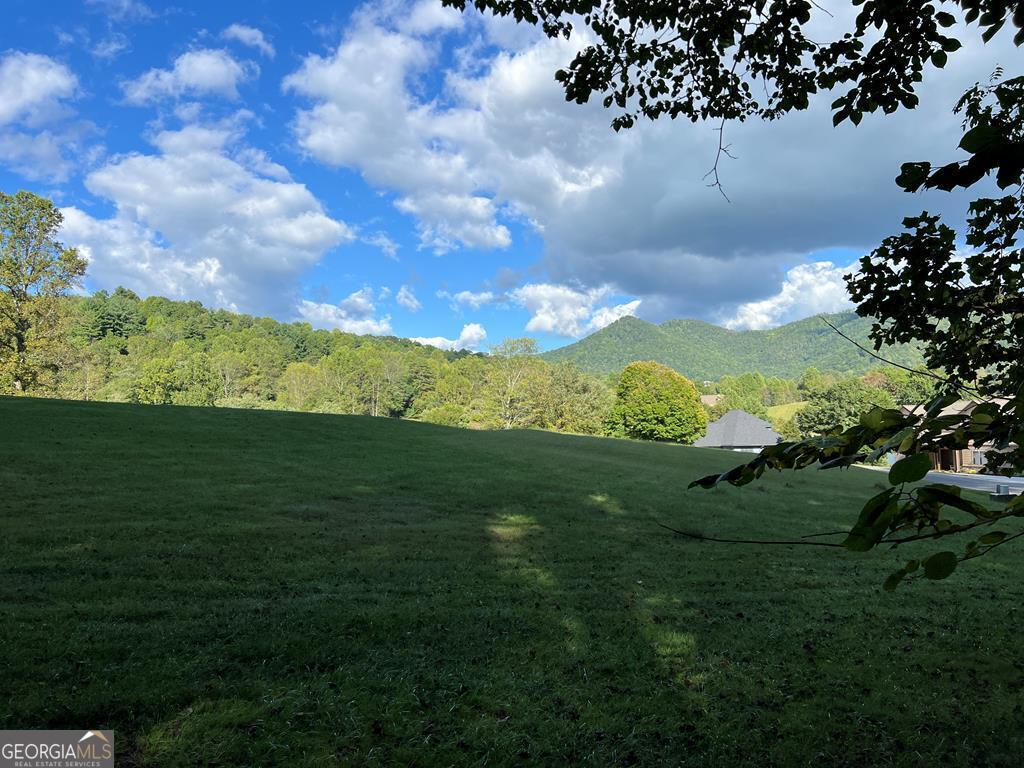 a view of a big yard