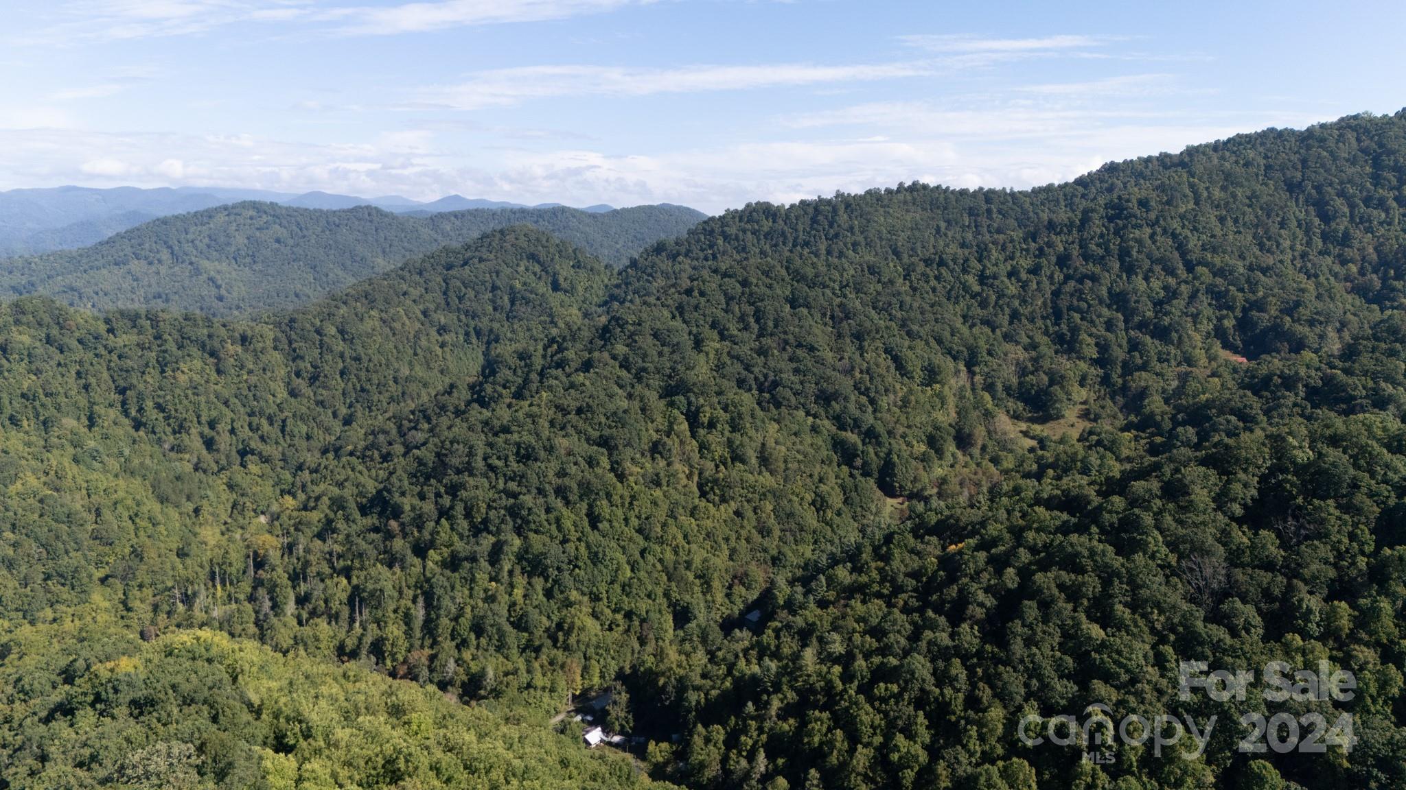 a view of a mountain range with lush green forest