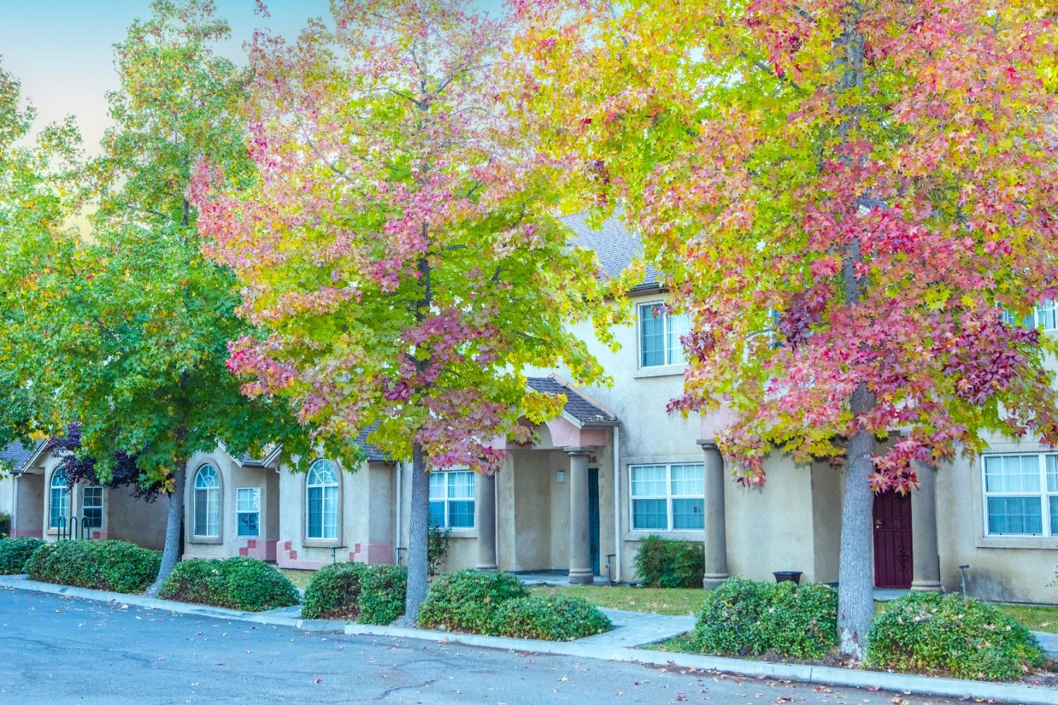 a front view of a house with plants and trees