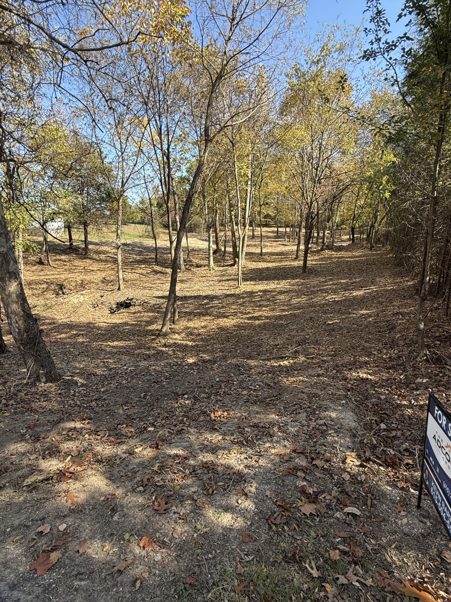 a view of yard with trees