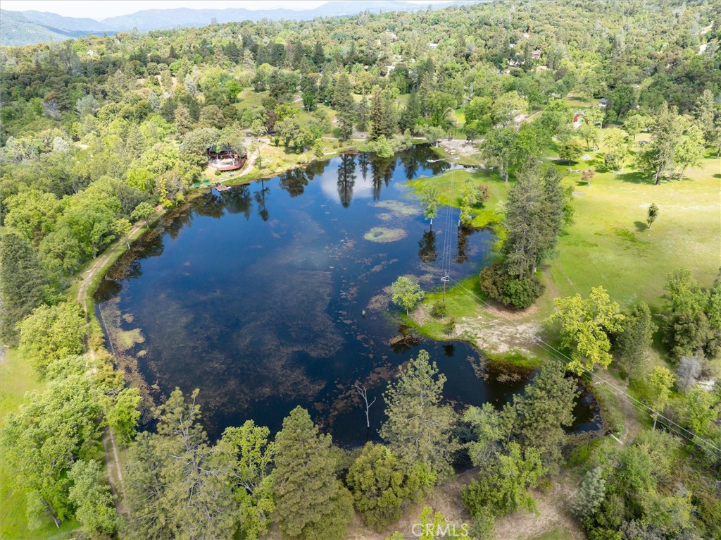 a view of a lake with large trees