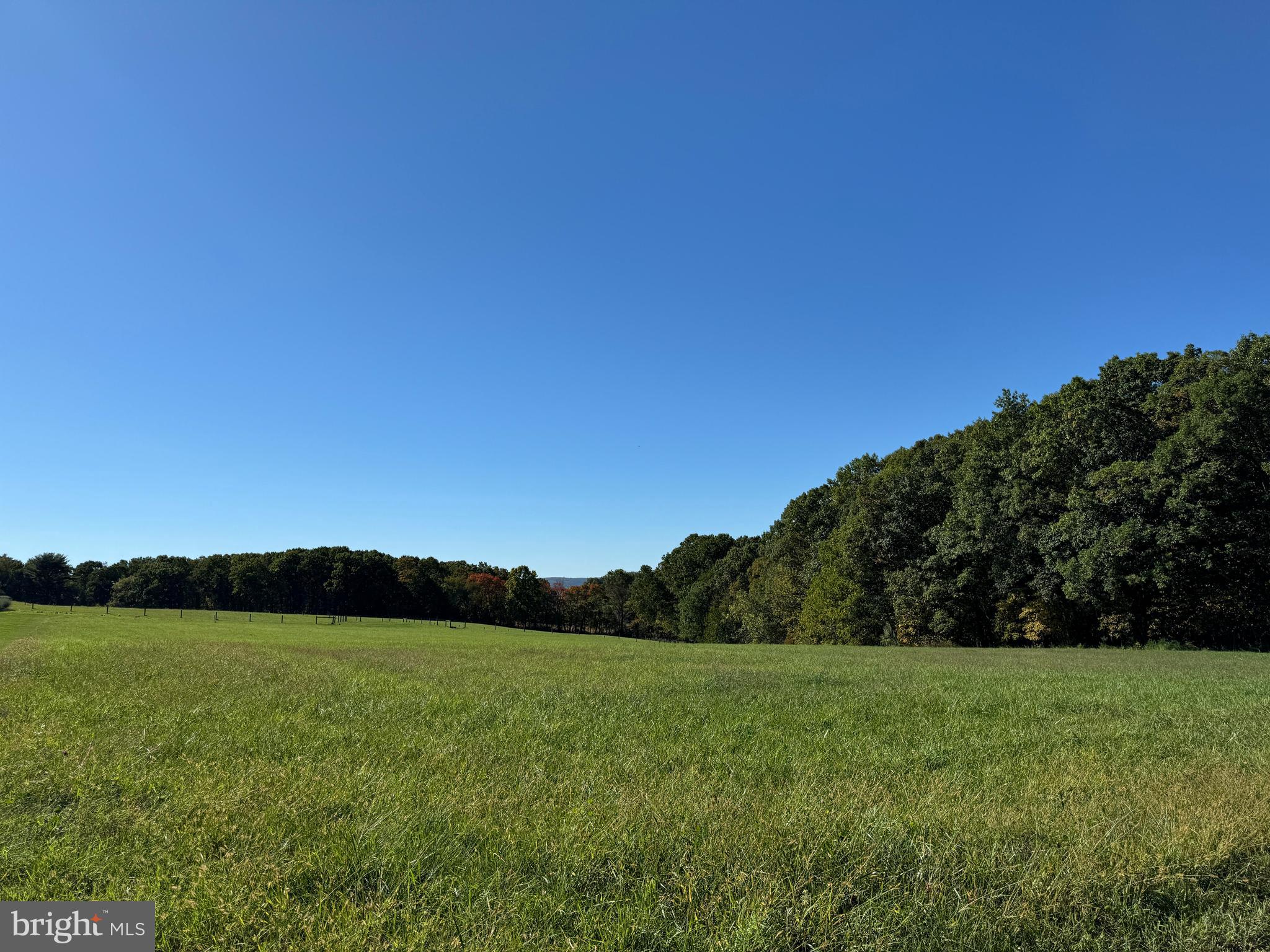 a view of a grassy field and trees