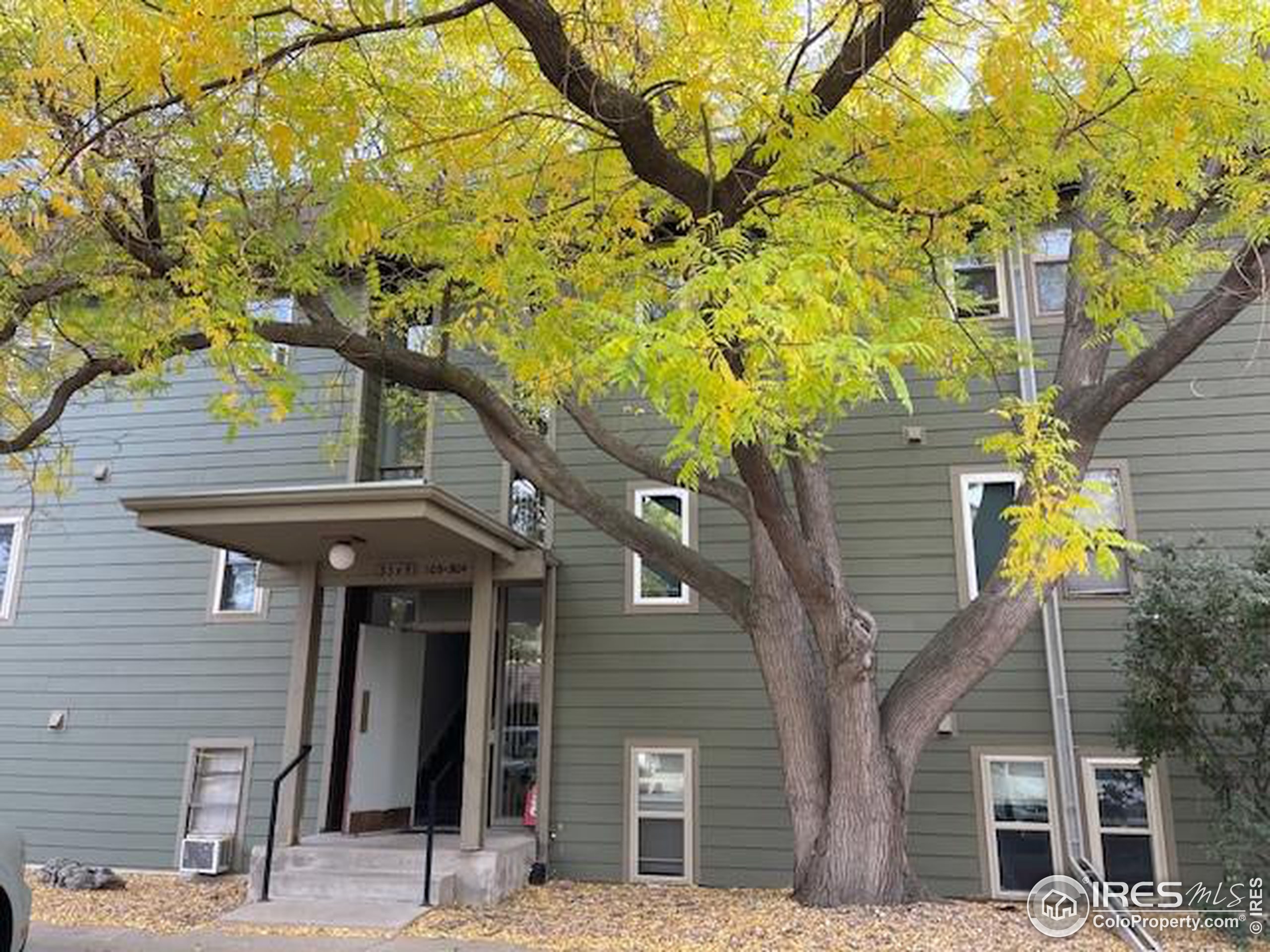 a front view of a house with a tree