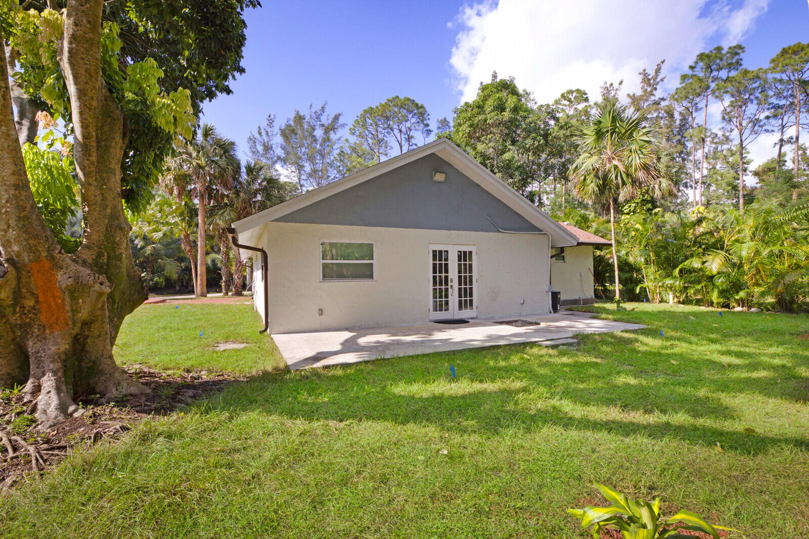 a view of a house with a backyard