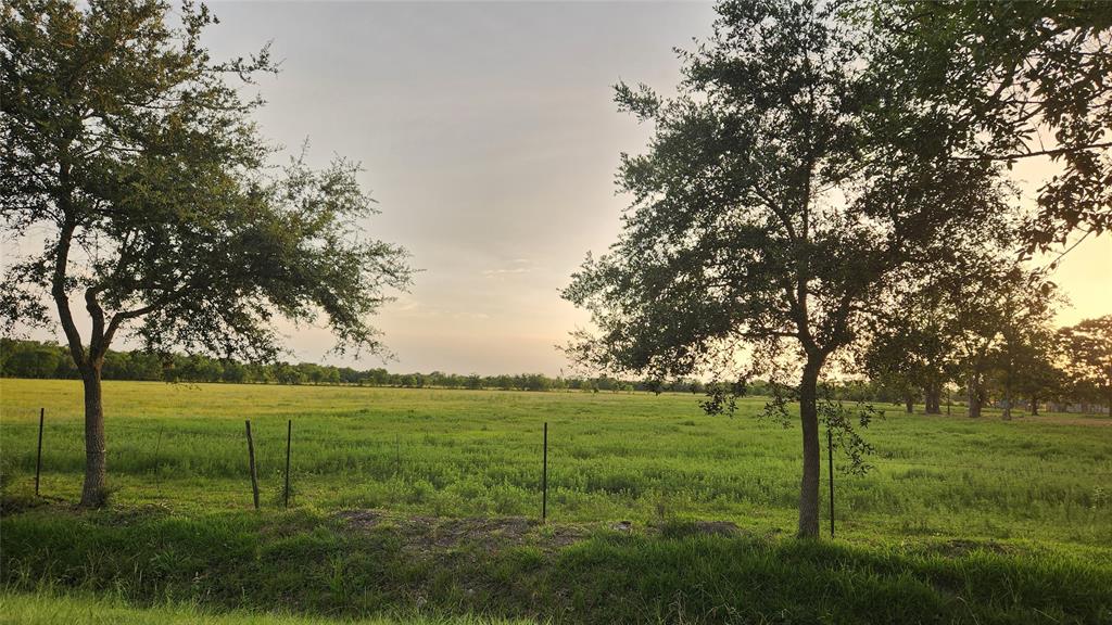 a view of a grassy field with trees