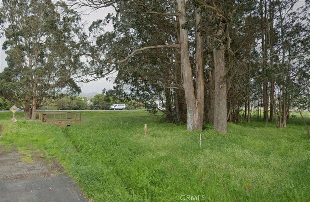 a view of green field with trees