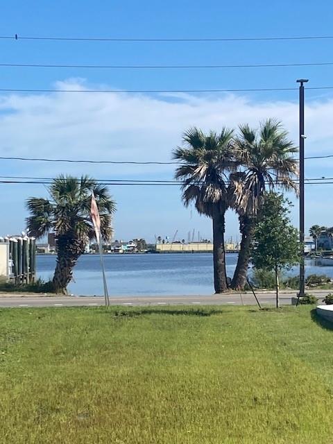 a view of a yard and palm tree